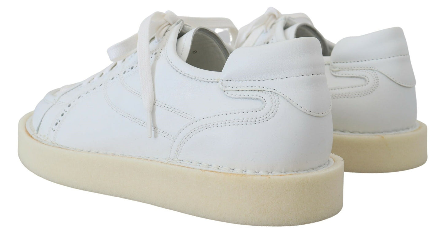 Dolce & Gabbana Vita Läder Låga Oxford Sneakers Casual Skor