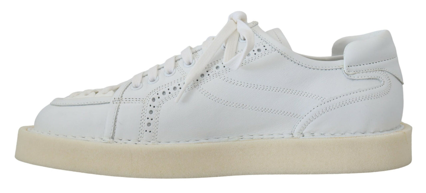 Dolce & Gabbana Vita Läder Låga Oxford Sneakers Casual Skor