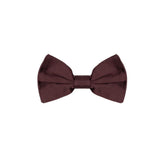 Dolce & Gabbana Burgundy Silk Bowtie