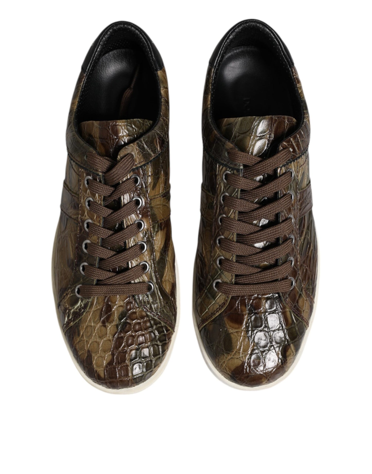 Dolce & Gabbana Bruna Exotiska Läder Låga Sneakers Skor