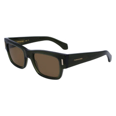 Ferragamo Brown Acetate Sunglasses