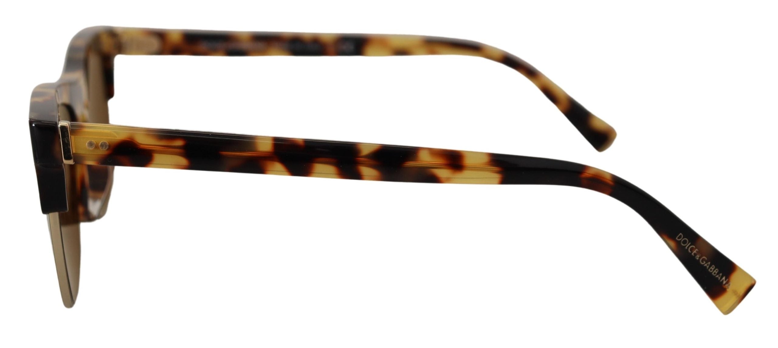 Bruna Guld Acetat Havana DG430A Solglasögon