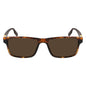 Converse Brown Acetate Sunglasses