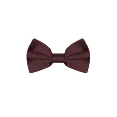 Dolce & Gabbana Burgundy Silk Bowtie