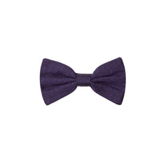 Dolce & Gabbana Purple Silk Bowtie