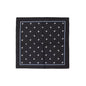 Dolce & Gabbana Black Silk Pocket Square