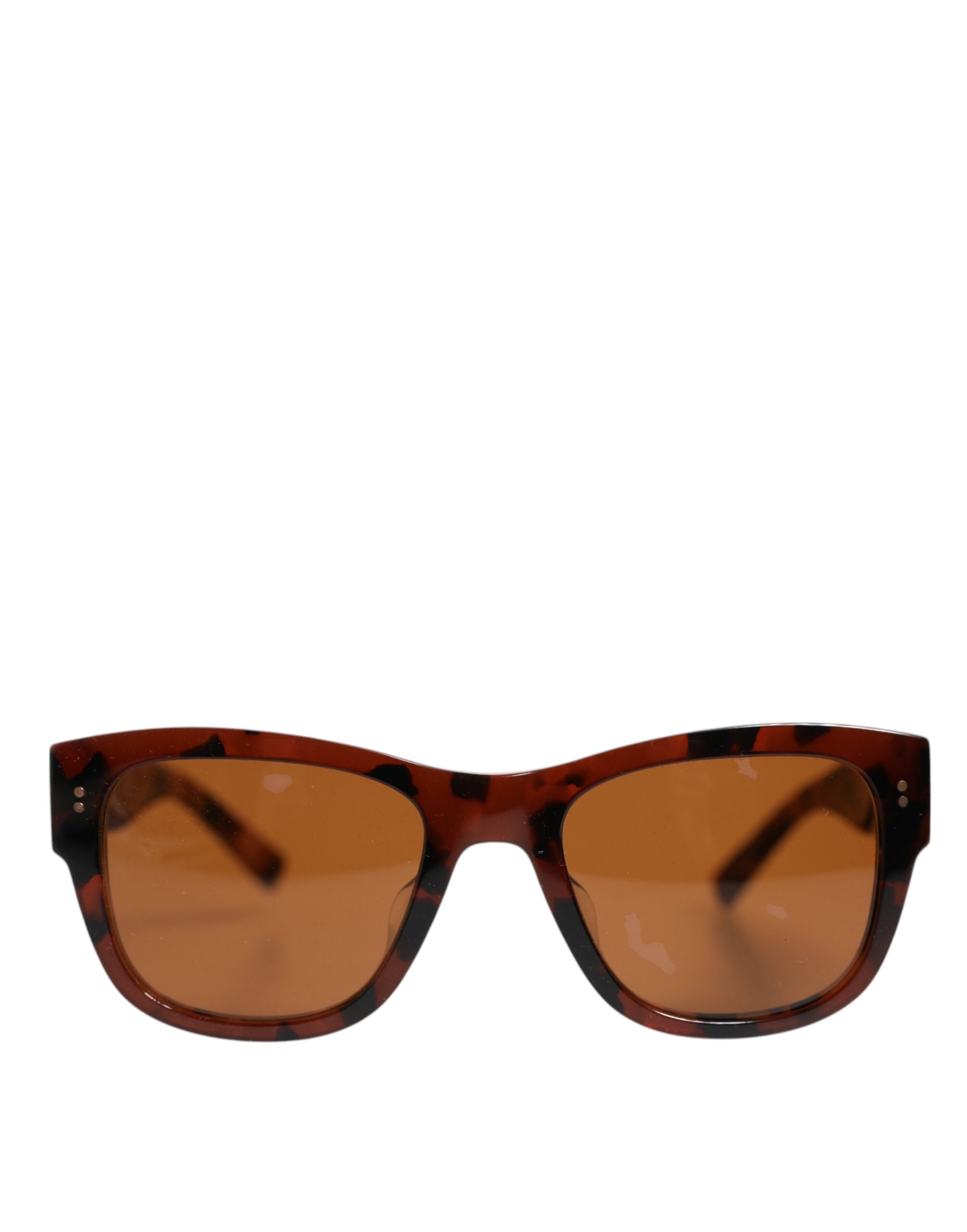 Havana Brun Svarta Excentriska Sartorial Glasögon Solglasögon