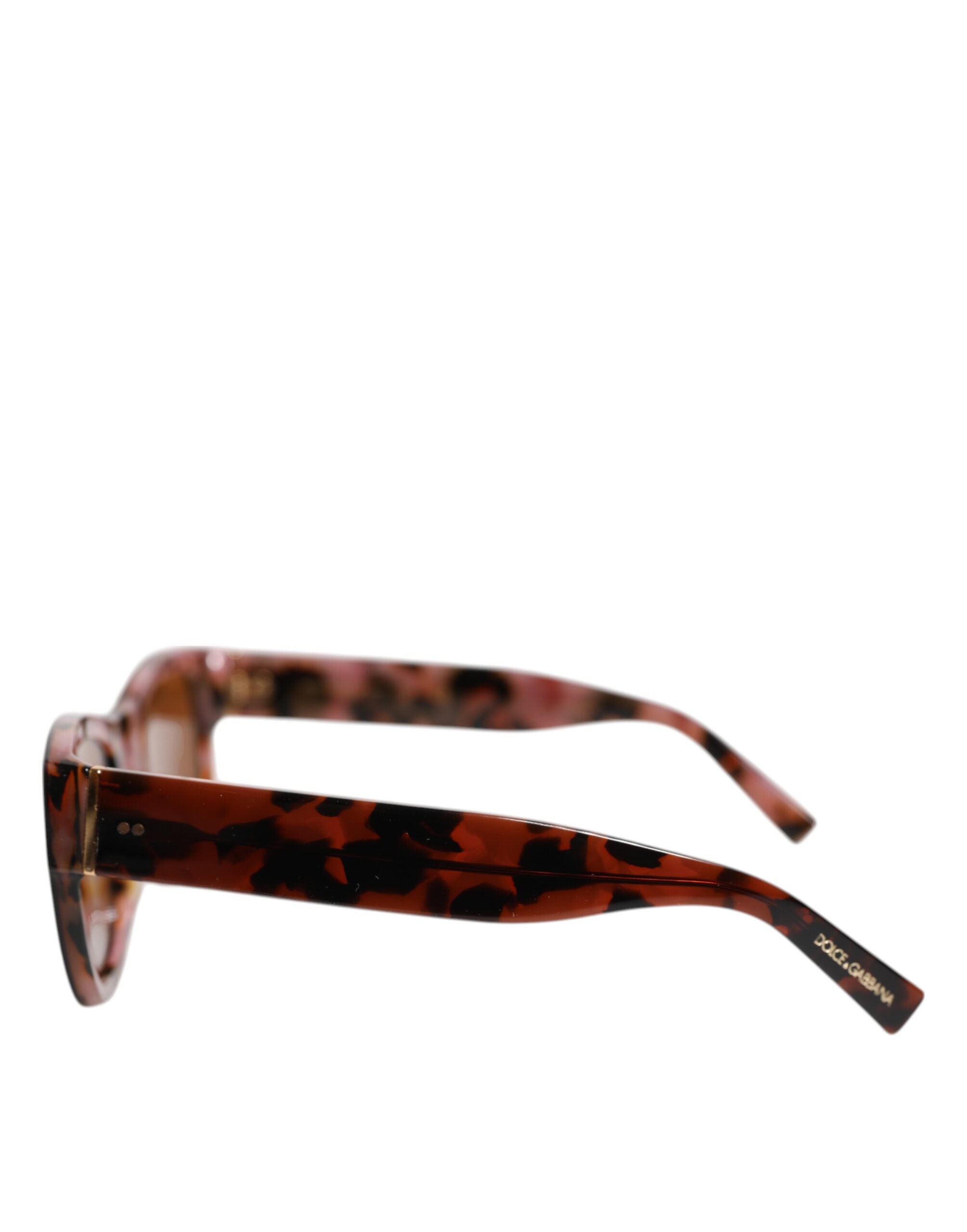 Havana Brun Svarta Excentriska Sartorial Glasögon Solglasögon