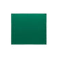 Dolce & Gabbana Green Silk Pocket Square