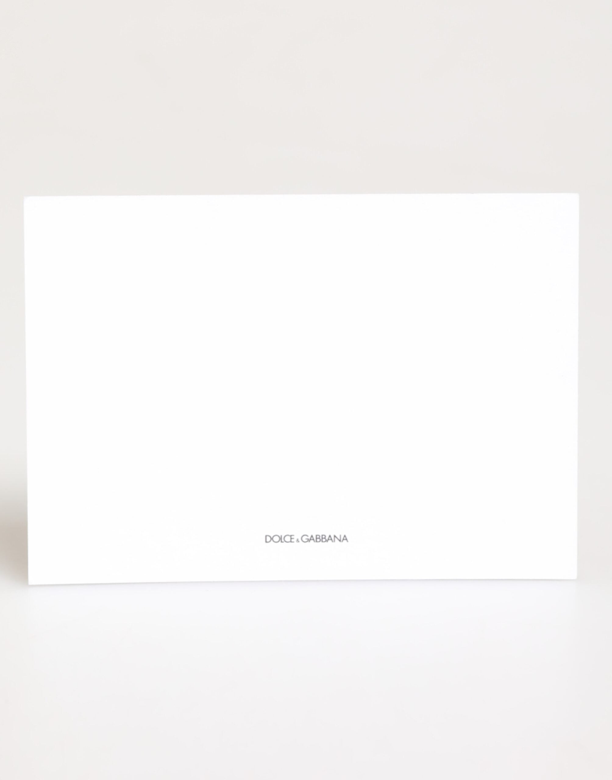 Dolce &amp; Gabbana flerfärgad leopardmönstrad kuvertväska med vykort