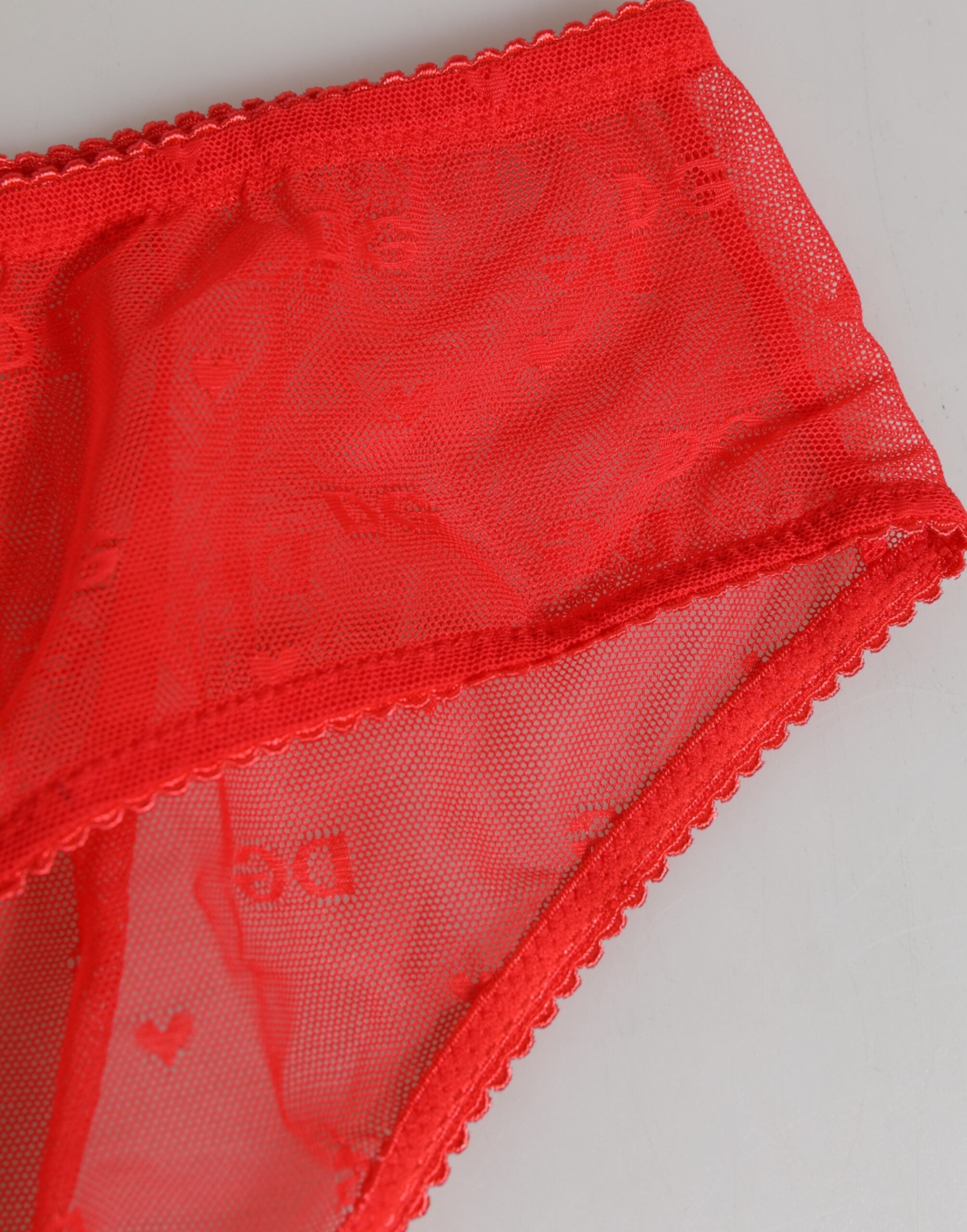 Röda nylon transparenta spetsunderkläder