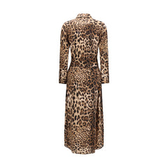 Ella Multicolor Silk Casual Dress