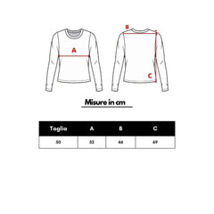 Gran Sasso Gray Wool Turtleneck